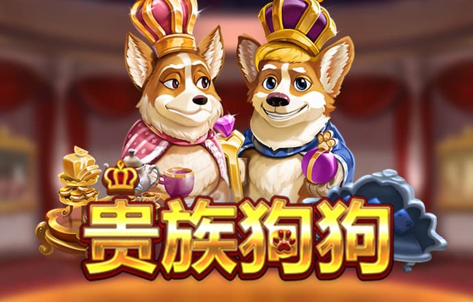 新利体育登录手机版
